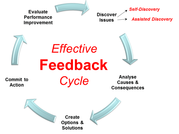 feedback model