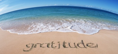 gratitude in forex trading dev2ndskies.wpengine.com